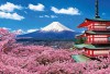 CƠ HỘI VÀNG CHO SINH VIÊN TRƯỜNG ĐẠI HỌC SƯ PHẠM – ĐH ĐÀ NẴNG 🇯🇵 HỌC TIẾNG NHẬT MIỄN PHÍ – THỰC TẬP TẠI NHẬT BẢN